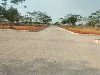 Plot For Resale in Shadnagar Hyderabad  6944246