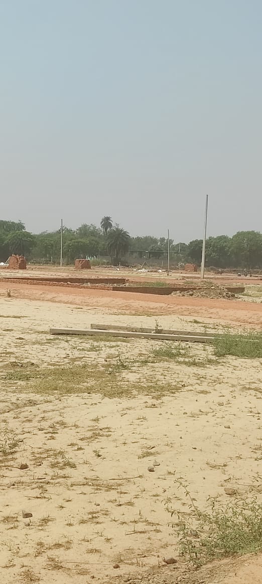 Plot For Resale in Jajru Faridabad  6945229