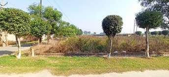  Plot For Resale in Sector 82 Faridabad 6945370