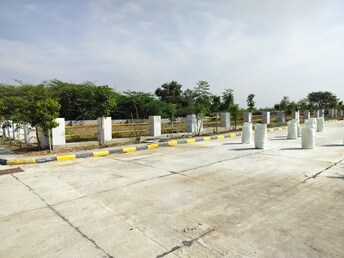 Plot For Resale in Mansanpalle Hyderabad  6946676