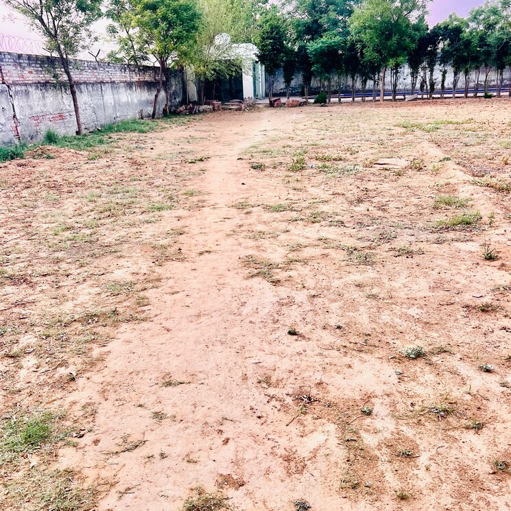 undefined, sultanpur Commercial Land 2420 Sq.Yd. In Sultanpur Gurgaon 6946893