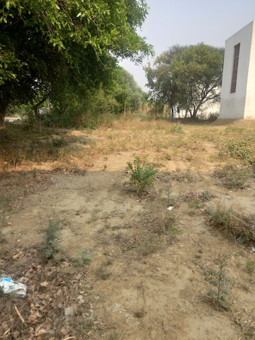 Plot For Resale in Sector 11 Bahadurgarh  6947373