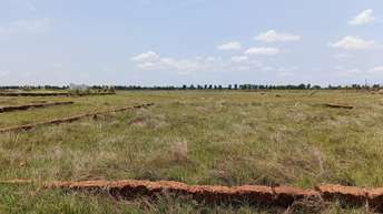 Plot For Resale in Botanda Bhubaneswar  6950033