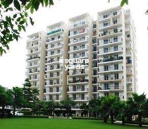 3 BHK Builder Floor For Rent in Highland Park Chandigarh Bhabat Zirakpur  6950235