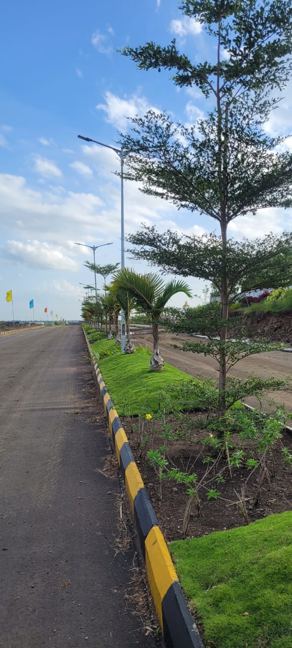 Plot For Resale in Kamkole Hyderabad  6951910