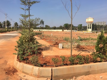 Plot For Resale in Dasanapura Bangalore  6951962