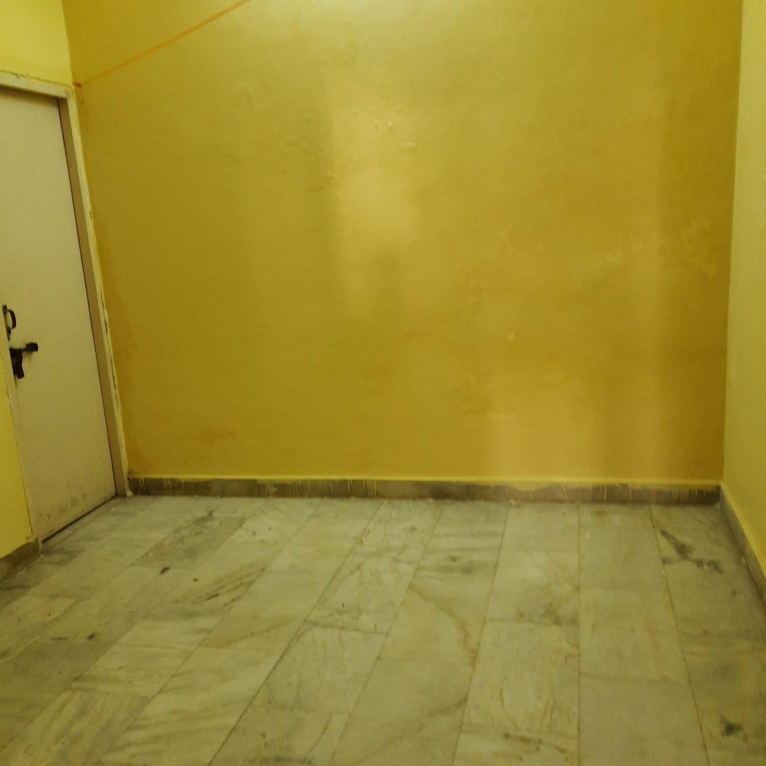 3.5 BHK Apartment For Rent in Gomti Nagar Lucknow  6952448