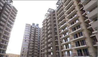 2 BHK Apartment For Rent in Signature Global Grand Iva Sector 103 Gurgaon 6953441