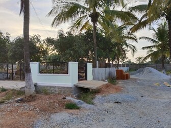 Plot For Resale in KolaR-Srinivaspur Road Kolar  6954444