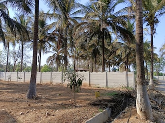 Plot For Resale in KolaR-Srinivaspur Road Kolar  6954444