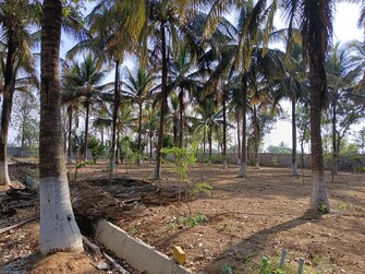 Plot For Resale in KolaR-Srinivaspur Road Kolar  6954444