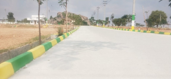 Plot For Resale in Jeevan Sagar Township Bagepalli Bangalore  6954537