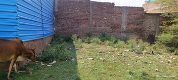 Plot For Resale in Kalmana Nagpur  6957670