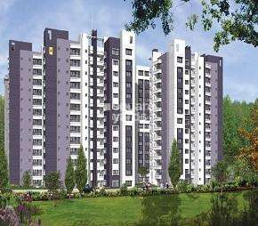 3 BHK Apartment For Rent in Sobha Chrysanthemum Thanisandra Bangalore 6957776