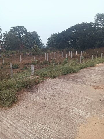 Plot Area in  Plot at Sector 144 – for Sale