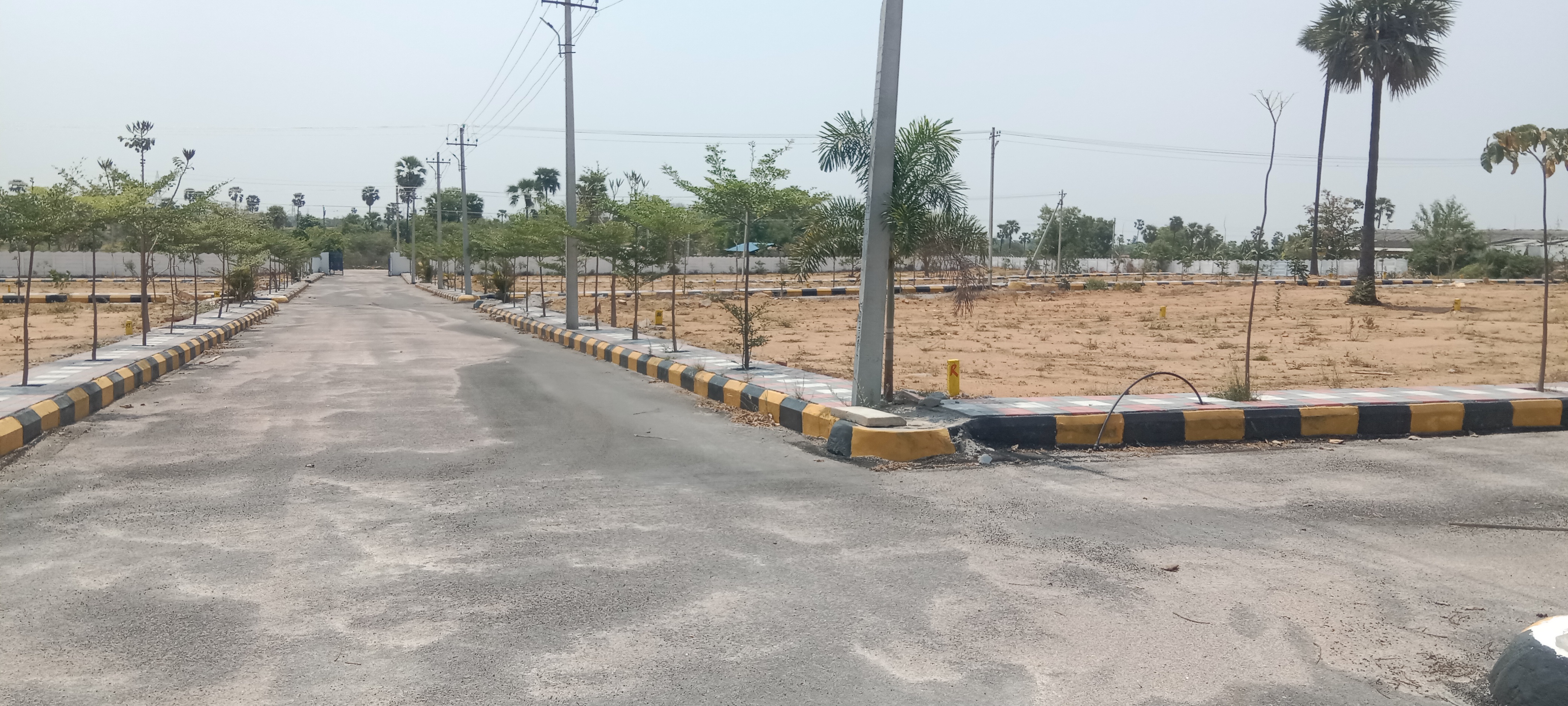 Plot For Resale in Adibatla Hyderabad  6958171