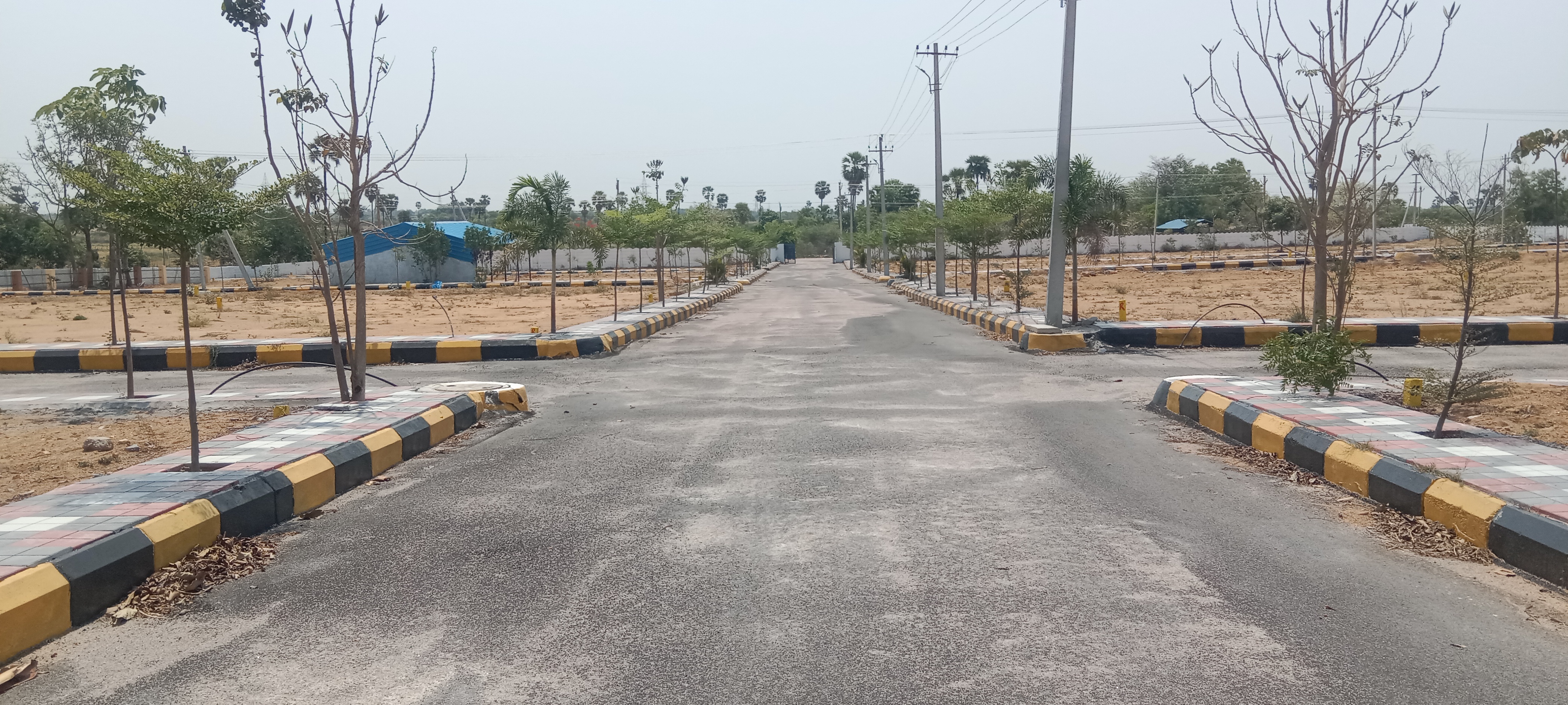 Plot For Resale in Aliabad Hyderabad  6958195