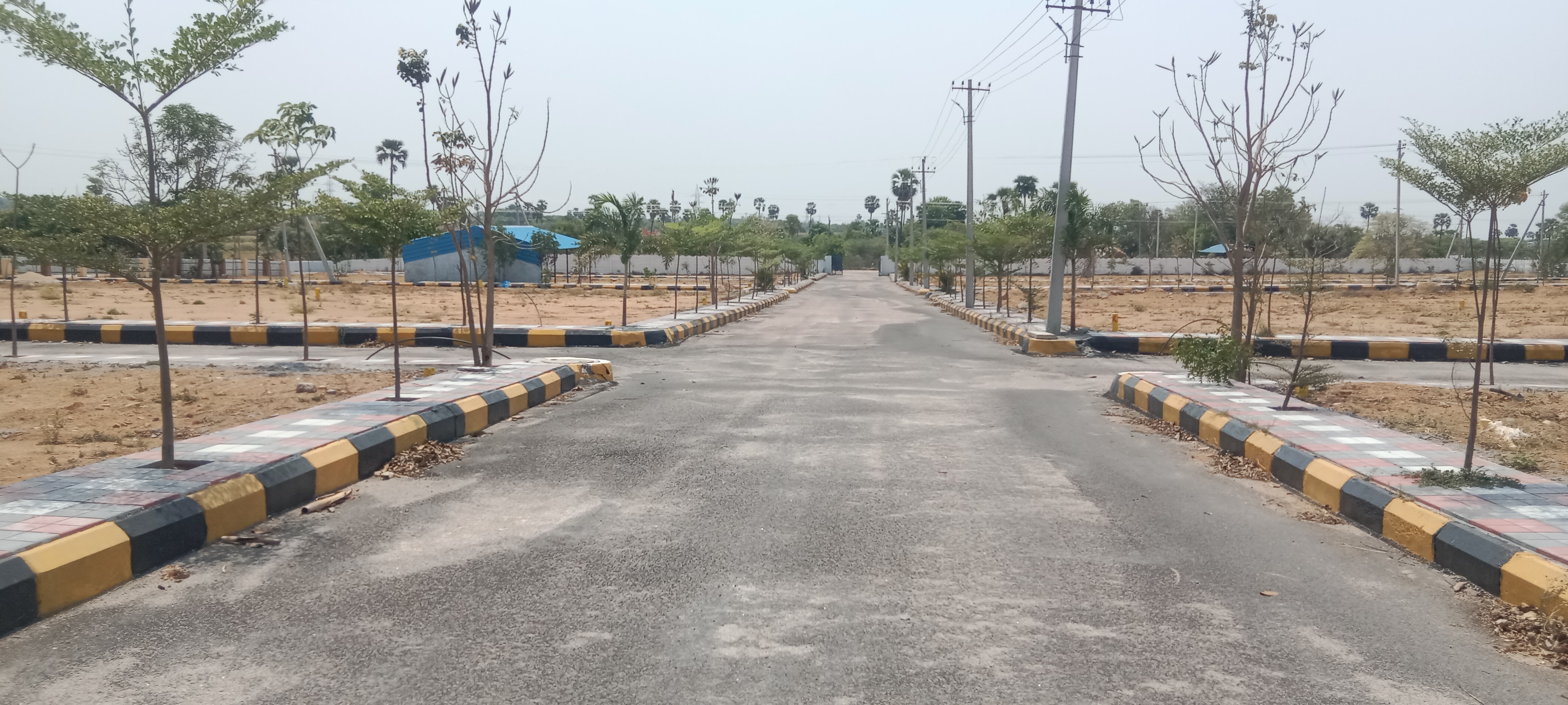 Plot For Resale in Alkapoor Hyderabad  6958197