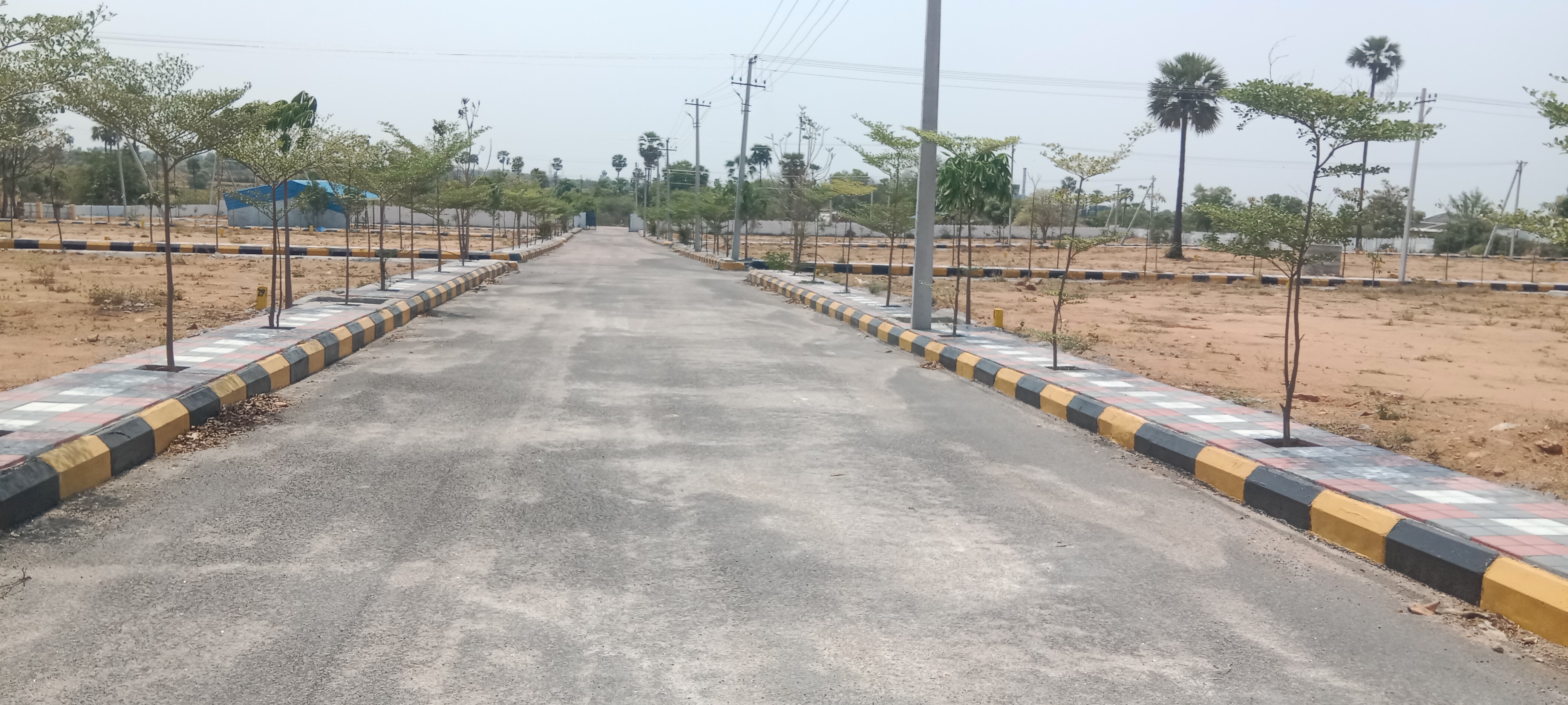 Plot For Resale in Ashok Colony Hyderabad  6958251