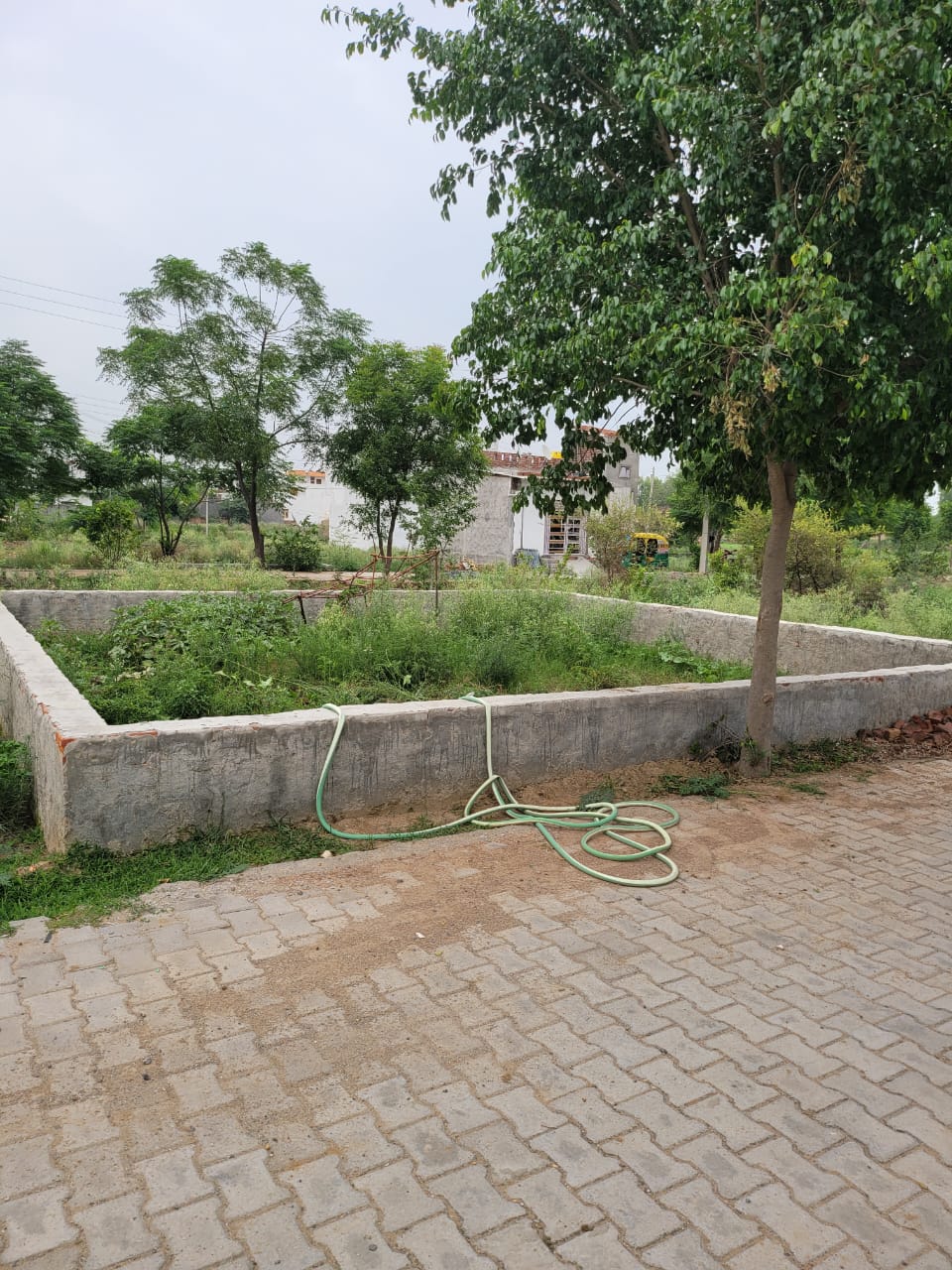 Plot For Resale in Sector 168 Noida  6960307