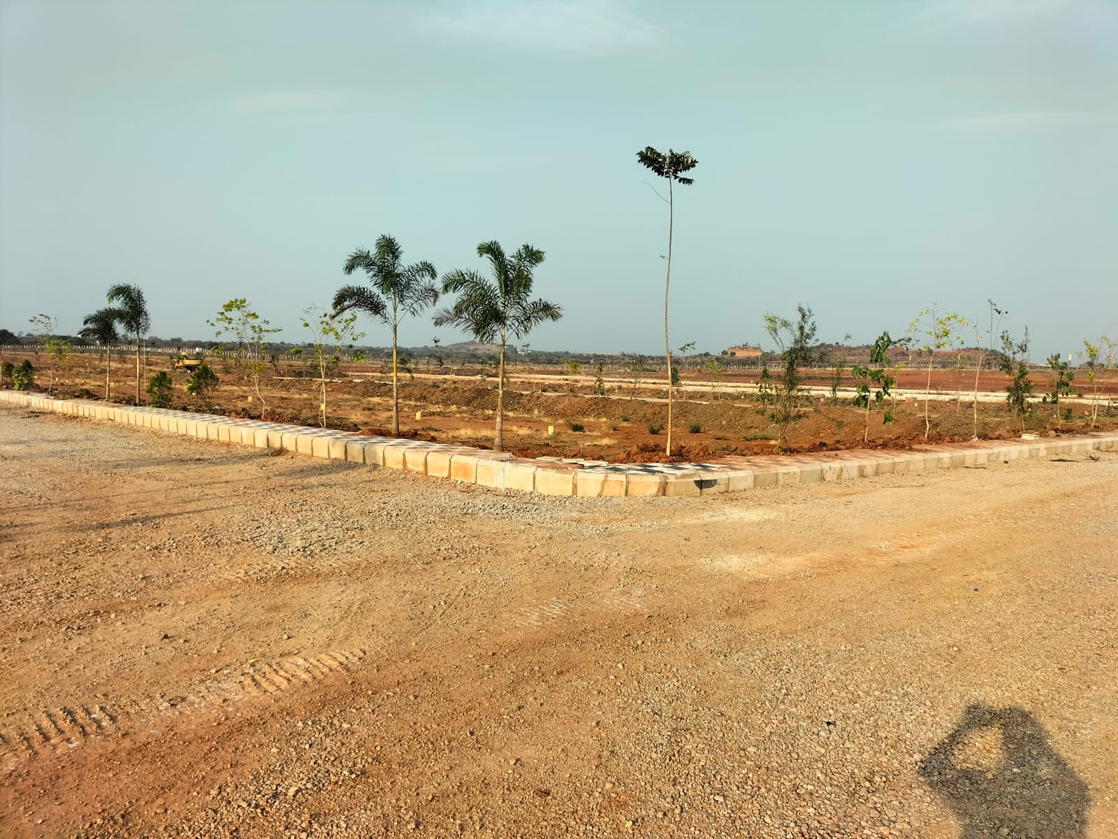 Plot For Resale in Sadashivpet Hyderabad  6961482