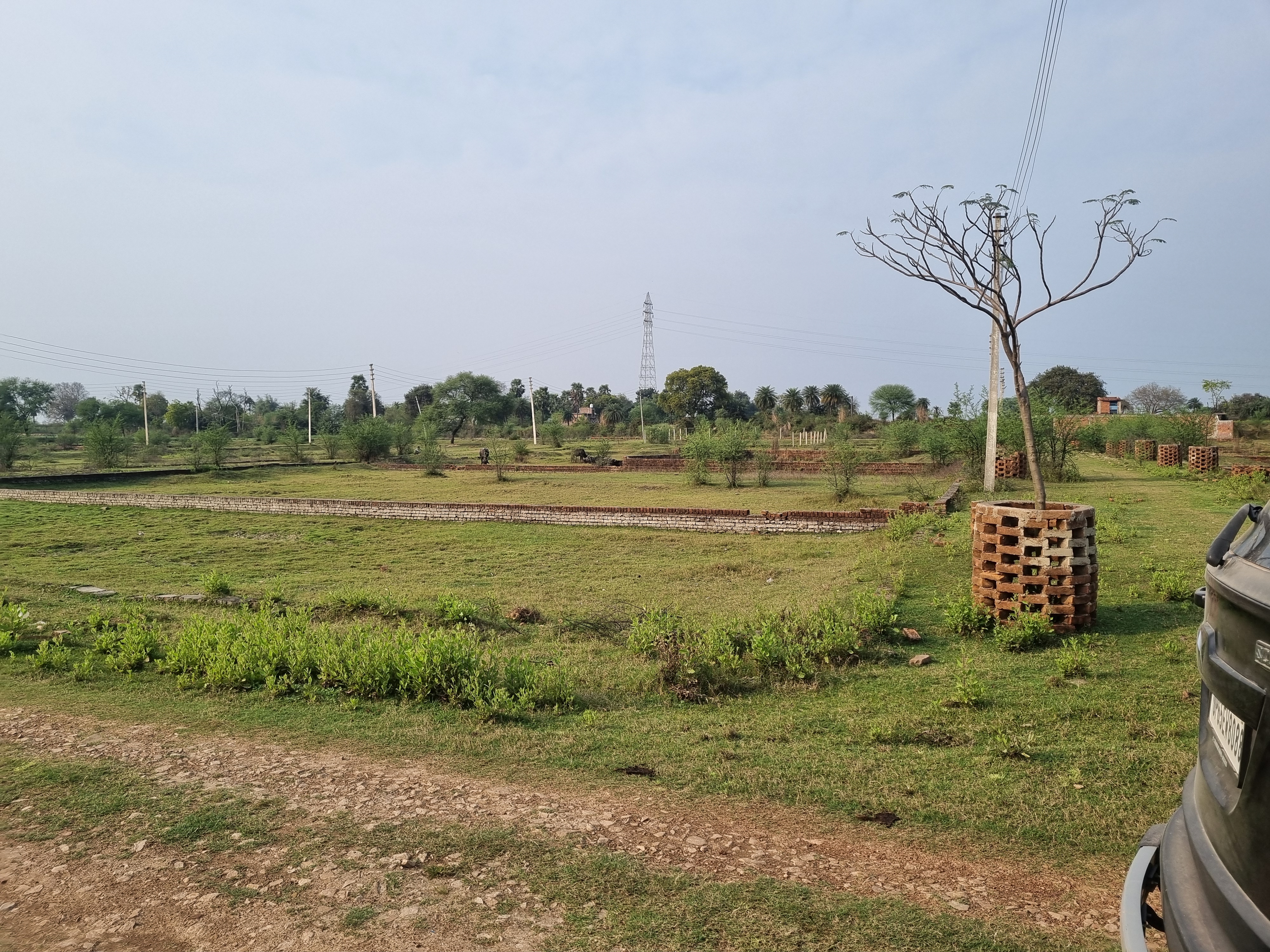  Plot For Resale in Sector 105 Noida 6964437