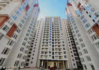 3 BHK Apartment For Resale in Mana Capitol Sarjapur Road Bangalore  6964445