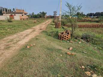 Plot For Resale in Basi Noida  6965364