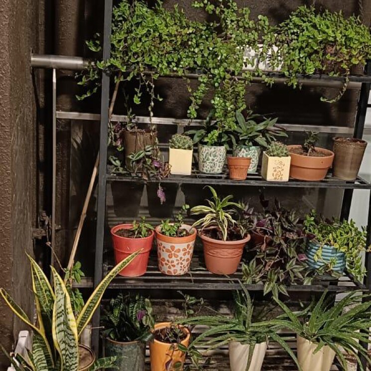 Balcony, tata-primanti-tower-residences 4 Bedroom 3320 Sq.Ft. Apartment In Dhani Gurgaon 6965386