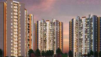 2 BHK Apartment For Resale in Shapoorji Pallonji Joyville Hinjewadi Phase 4 Hinjewadi Pune 6966284