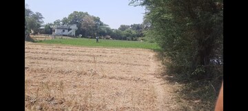 Commercial Industrial Plot 110 Acre For Resale in Sachana Ahmedabad  6967356