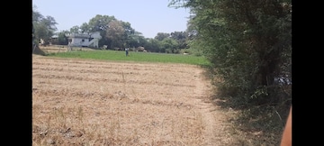 Commercial Industrial Plot 110 Acre For Resale in Viramgam Ahmedabad  6967362