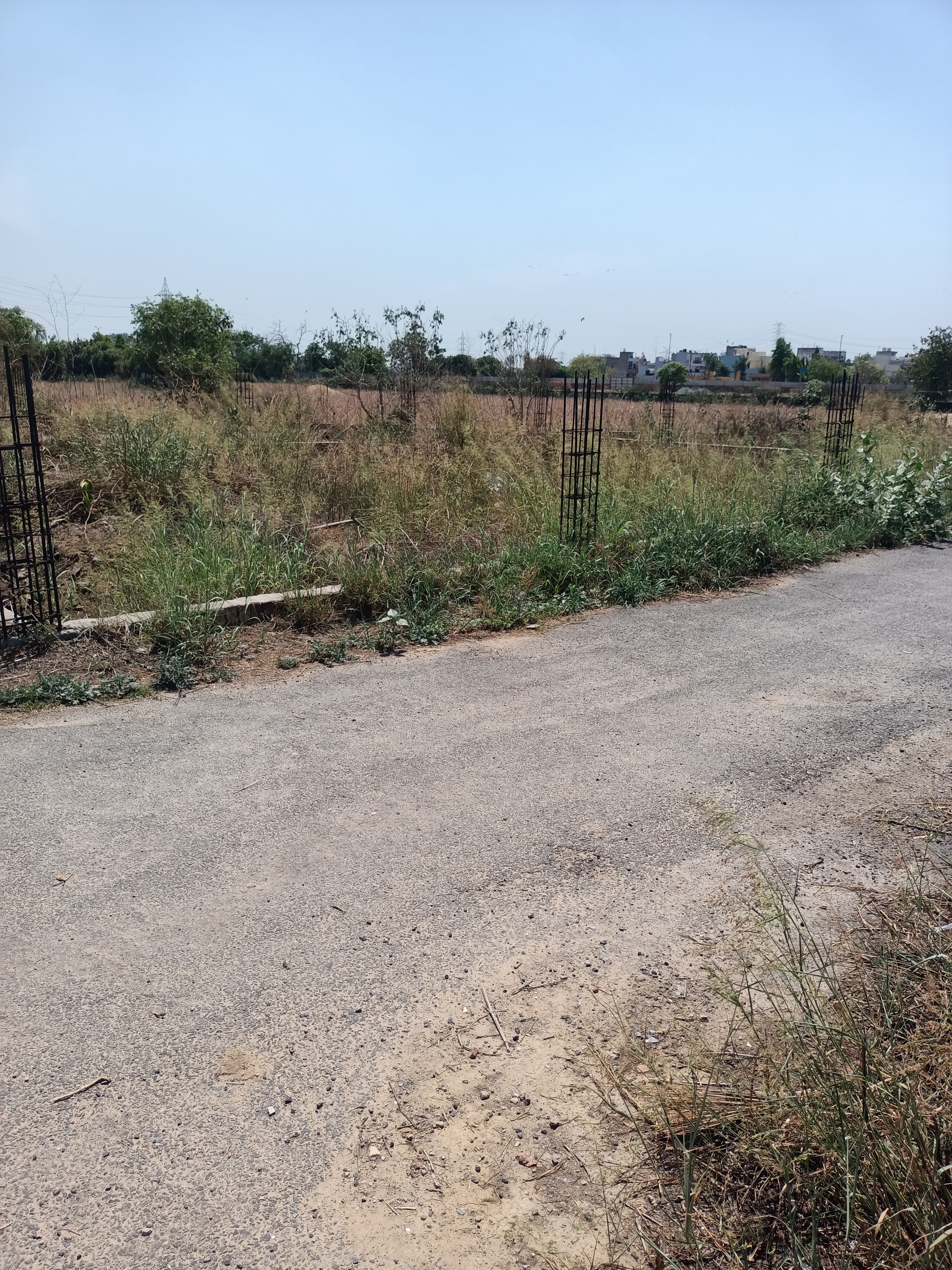 Plot For Resale in Najafgarh Delhi  6968460