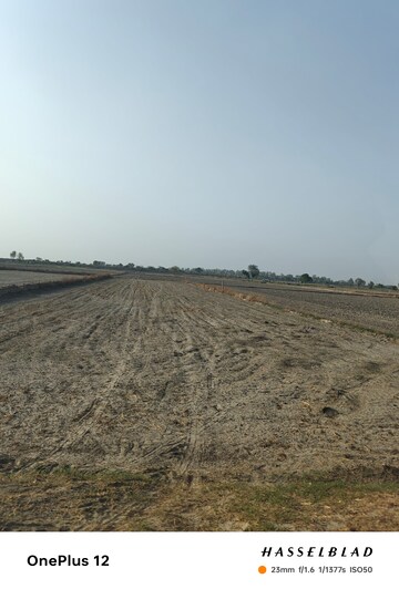 Commercial Industrial Plot 3023 Sq.Yd. For Resale in Loni Ghaziabad  6968616