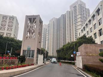 4 BHK Apartment For Rent in DLF Park Place Sector 54 Gurgaon  6959835