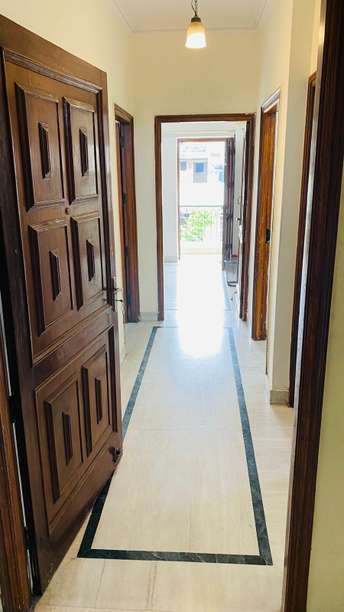 2 BHK Builder Floor For Rent in RWA Green Park Green Park Delhi 6970168