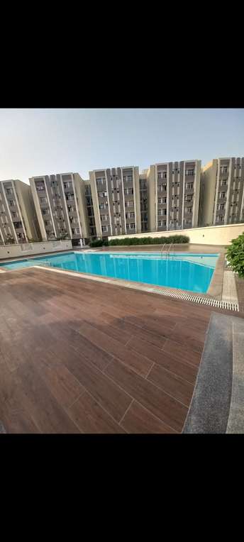 2 BHK Apartment For Rent in Wave Executive Floors Wave City Ghaziabad 6970280