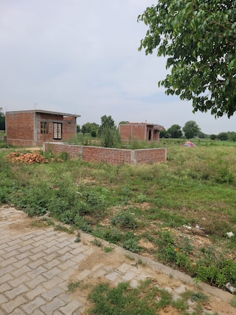 Plot For Resale in Knowledge Park 1 Greater Noida Greater Noida  6970793