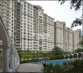 3 BHK Apartment For Rent in DLF The Belvedere Park Sector 24 Gurgaon  6971822