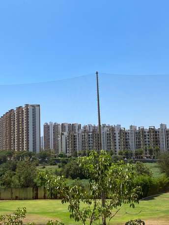 2 BHK Apartment For Rent in Lodha Casa Bella Gold Dombivli East Thane 6973296