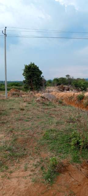 Plot For Resale in Nelamangala Bangalore  6973553