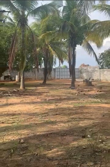  Plot For Sale in Nelamangala
