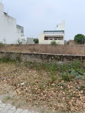 Plot For Resale in Sector 24 Panipat  6974876