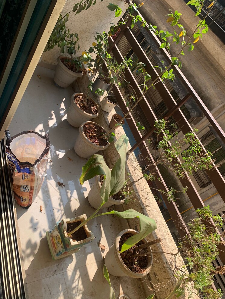 Balcony, avighna-heights-dombivli-east 2 Bedroom 875 Sq.Ft. Apartment In Dombivli East Thane 6974908