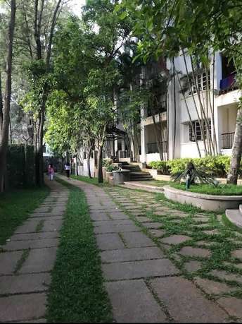 1 BHK Apartment For Rent in Adarsh Gardens Jayanagar Bangalore 6975510