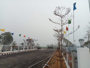 Plot For Resale in Jhajjar Road Gurgaon  6975637