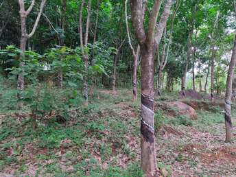 Plot For Resale in Poothol Thrissur  6975878