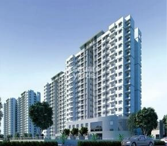 3 BHK Apartment For Rent in Prestige Elysian Kalena Agrahara Bangalore 6975930
