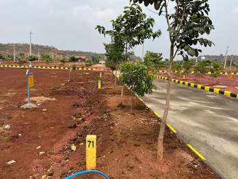  Plot For Resale in Budhera Hyderabad 6976846