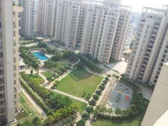 3.5 BHK Apartment For Resale in Orchid Petals Sector 49 Gurgaon  6977638